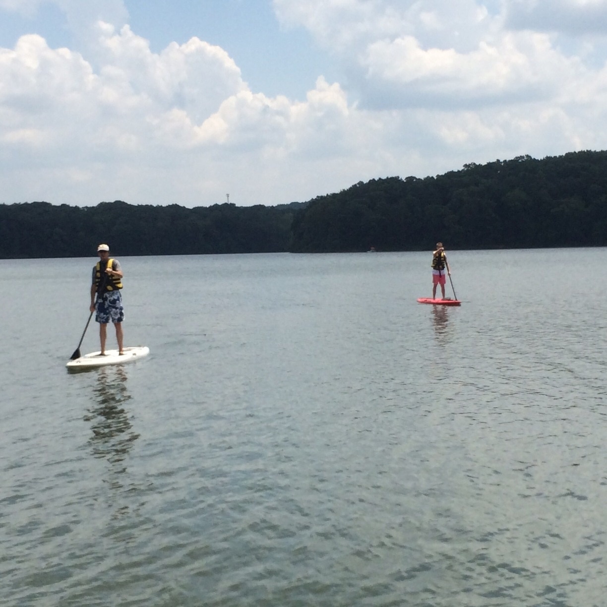 Top 20 Lithia Springs, GA condo and apartment rentals from 45/night Vrbo