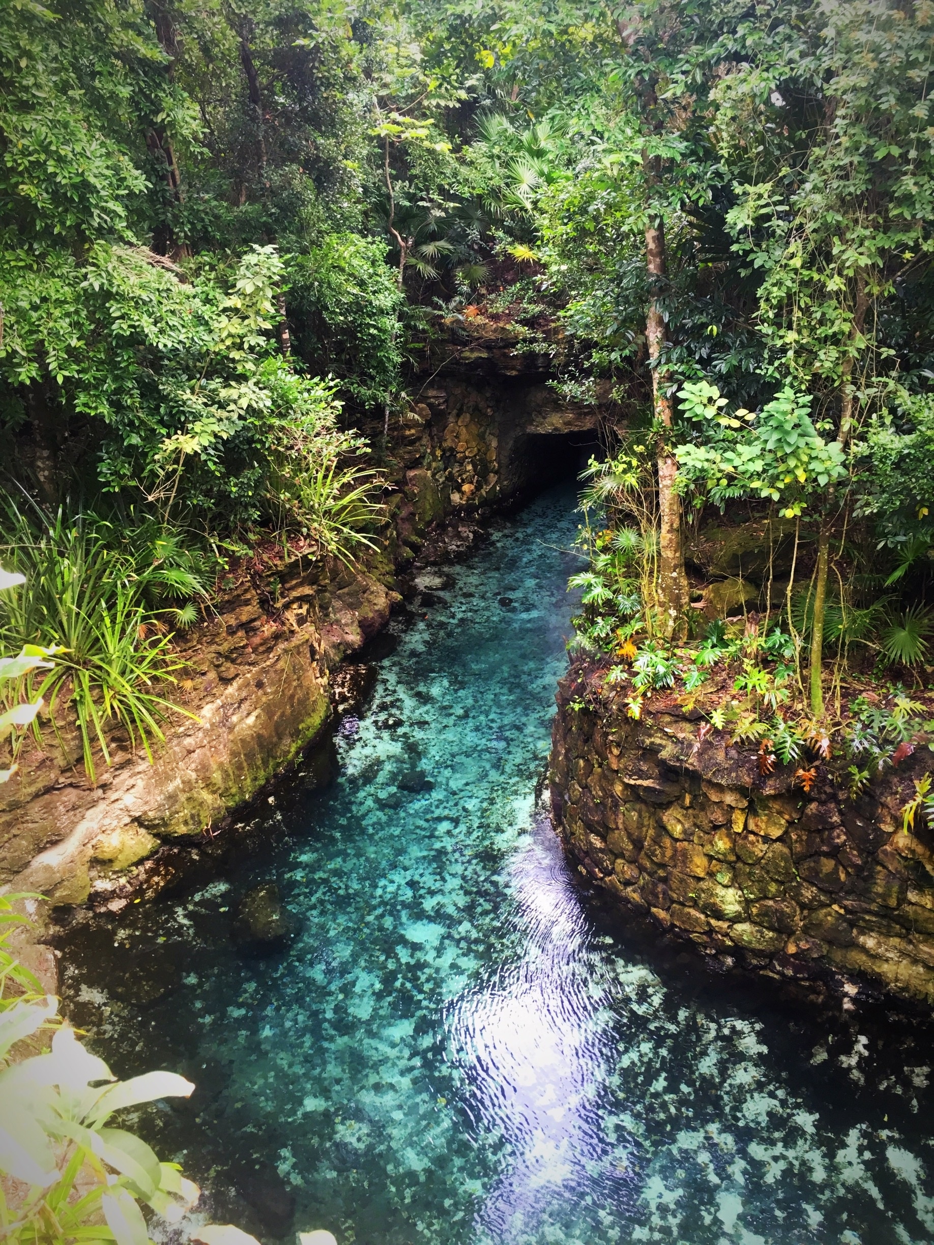 playa del carmen xcaret eco theme park