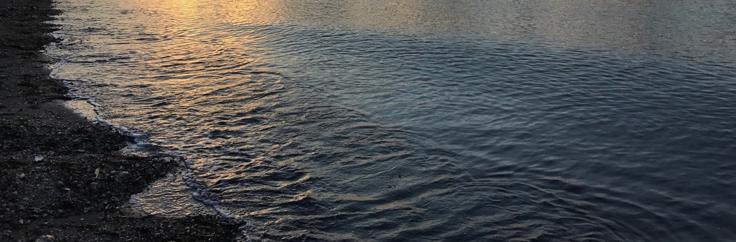خليج بيرش, واشنطن, الولايات المتحدة
