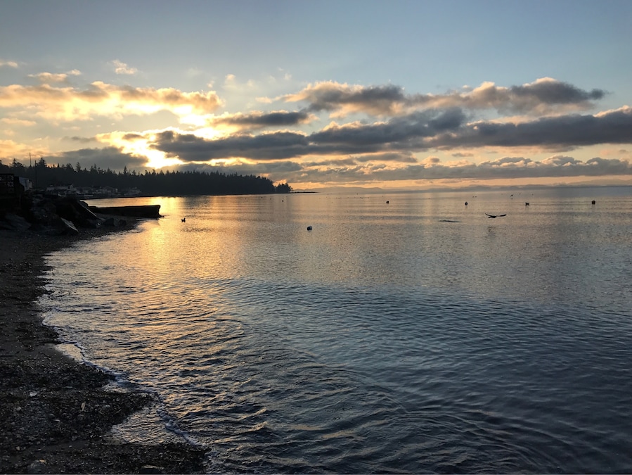 Great place to watch migrating birds and enjoy sunsets year round.