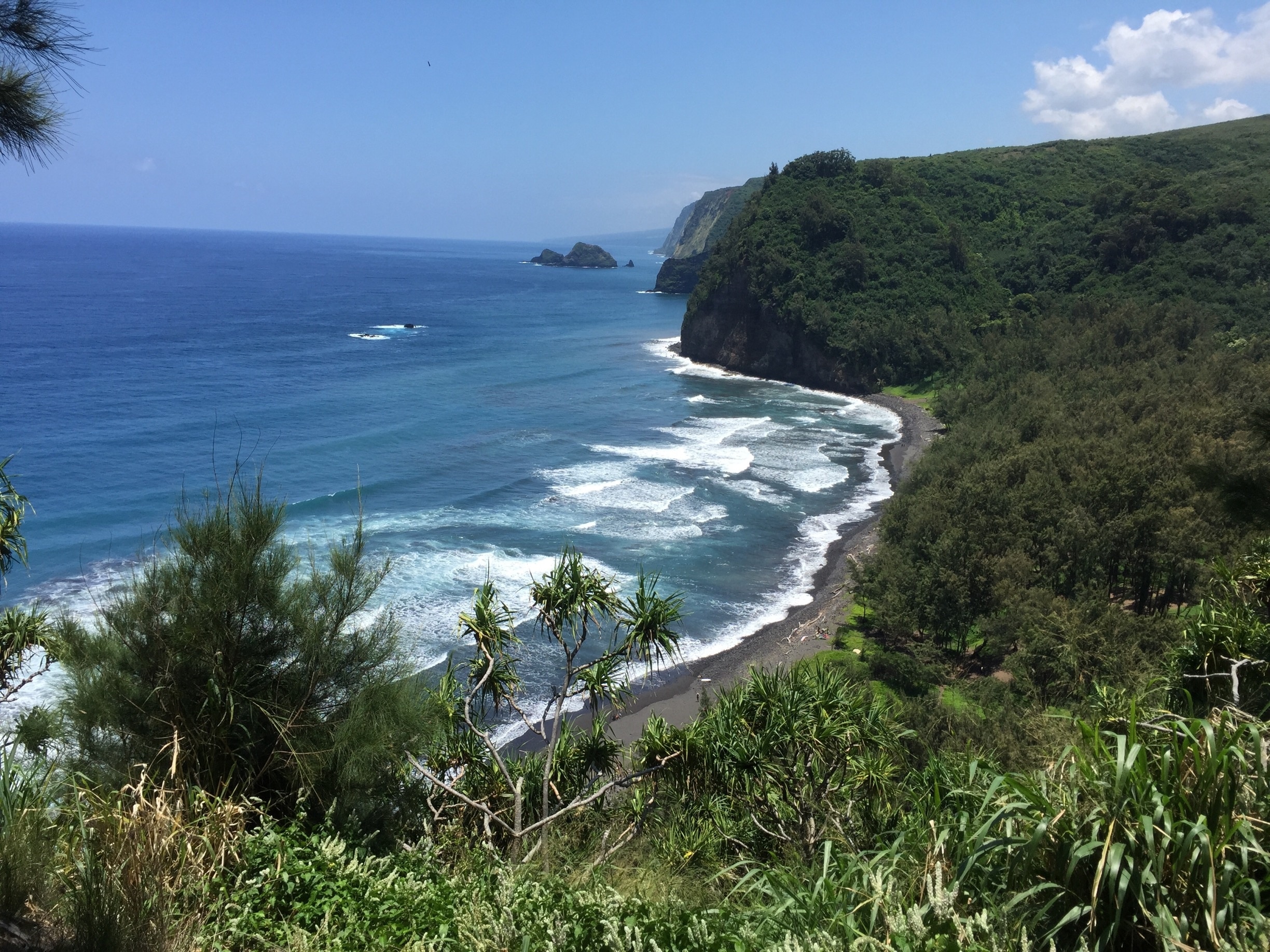 Kapaau, HI Vacation Rentals house rentals & more Vrbo