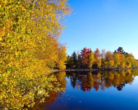 Pelican Lake