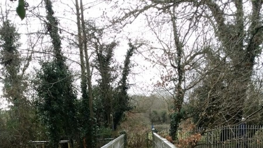 Dog walking and cycling park with lakes, rivers, woods, fields and a great little cafe that sells homemade burgers
