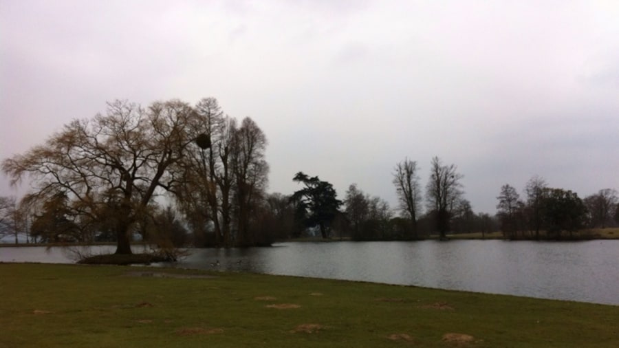 Petworth House
