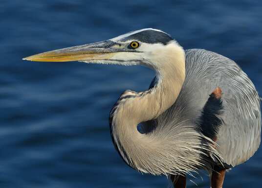 Gulfport, Mississippi, USA