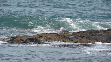 The best form of relaxation is walking on the beach and watching the tide come in.  