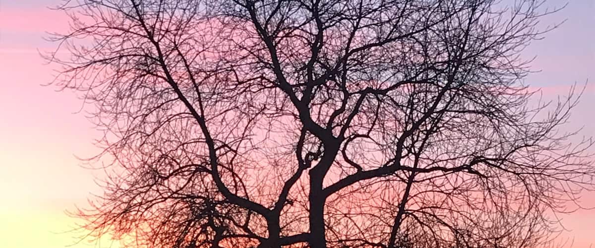 Couleurs sans filtres