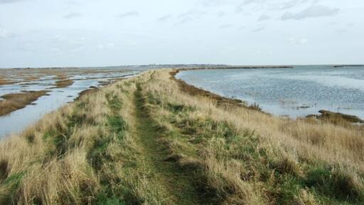 Billede "Tollesbury" af Simon Huguet (CC BY-SA) / beskåret fra det originale billede