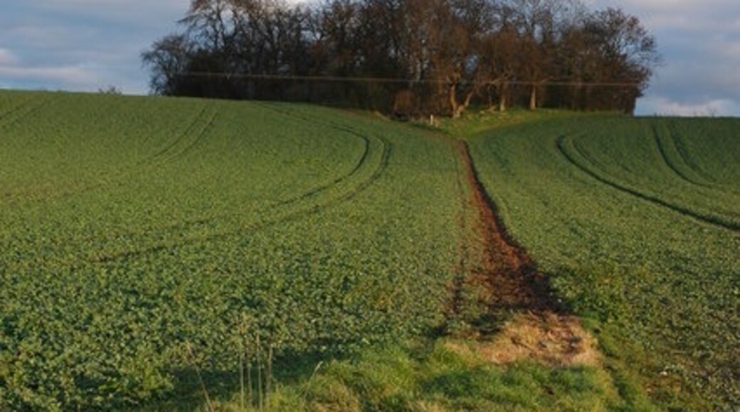 Photo "Hill Croome" by Philip Halling (CC BY-SA) / Cropped from original