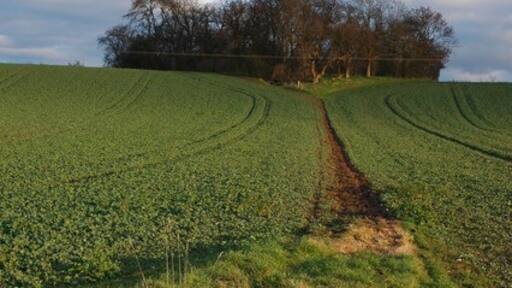 Ảnh "Hill Croome" của Philip Halling (CC BY-SA) / Cắt từ ảnh gốc