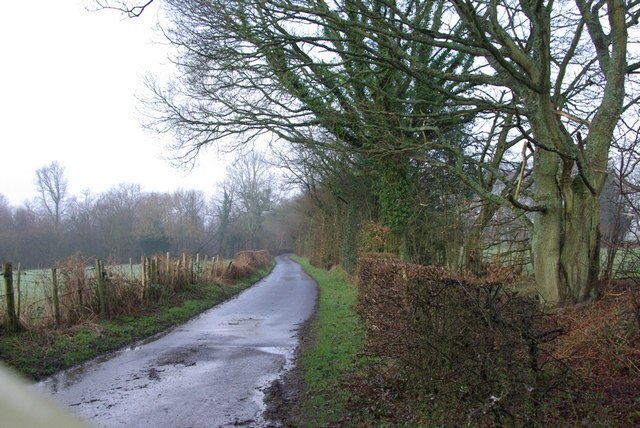 Lane towards Entry Hill Wood Little more to be said!