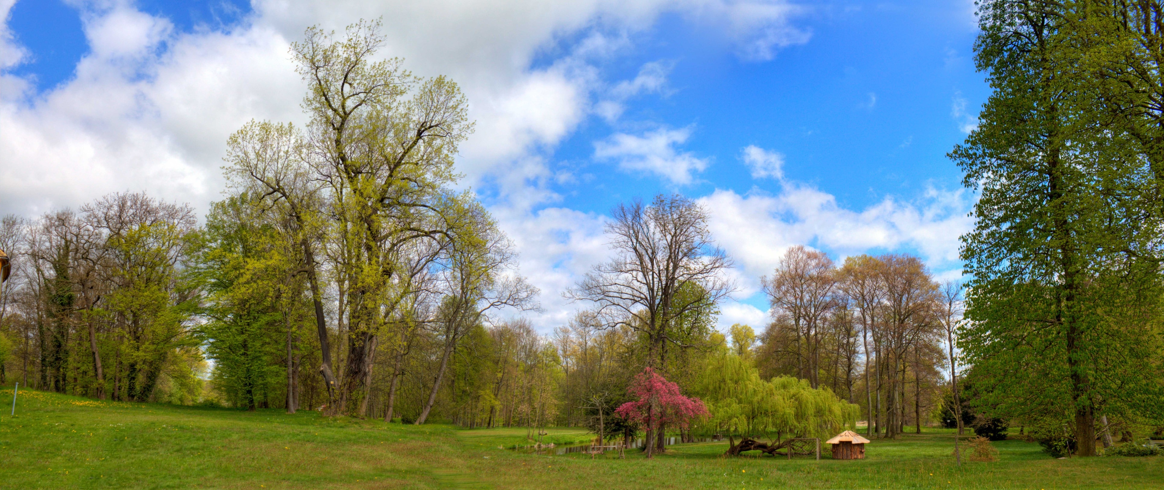 Radler59 (CC BY-SA) 的「達倫」相片 / 由原圖裁切