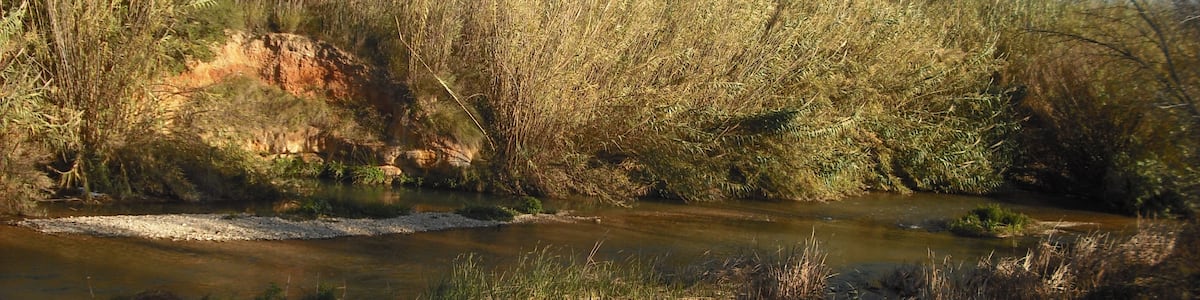 Photo "Riba-roja de Túria." by Qoan (Creative Commons Attribution-Share Alike 3.0) / Cropped from original