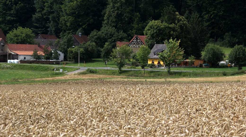 "Neukirchen bei Sulzbach-Rosenberg"-foto av Derzno (CC BY) / Urklipp från original