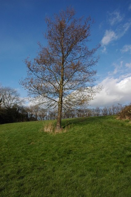 Foto "Great Comberton" de Philip Halling (CC BY-SA) / Recortada do original