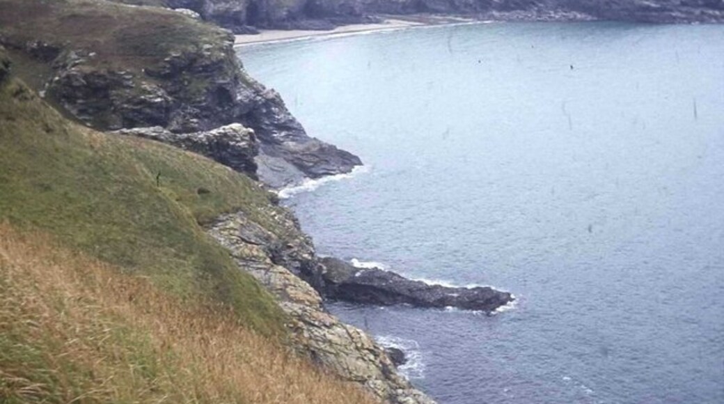 Foto "Trevalga" de Trevor Rickard (CC BY-SA) / Recortada do original