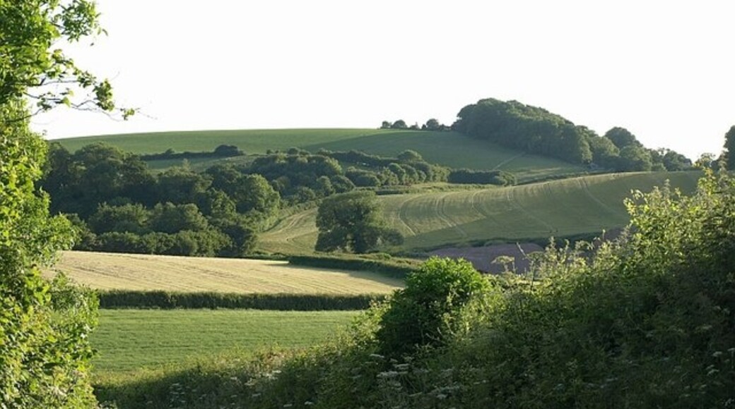 Foto „Abbotskerswell“ von Derek Harper (CC BY-SA)/zugeschnittenes Original