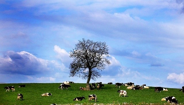 Foto „Kirton“ von Steve F (CC BY-SA)/zugeschnittenes Original