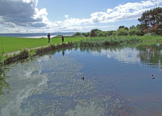 Visitor centre pond