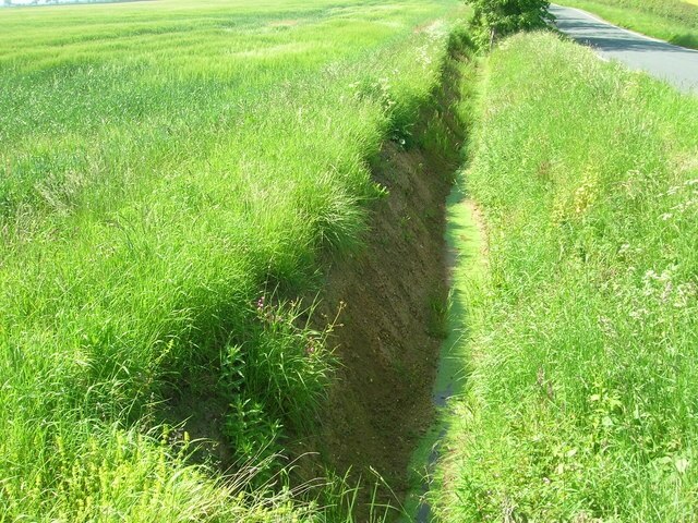 Foto “North Frodingham” tomada por JThomas (CC BY-SA); recorte de la original