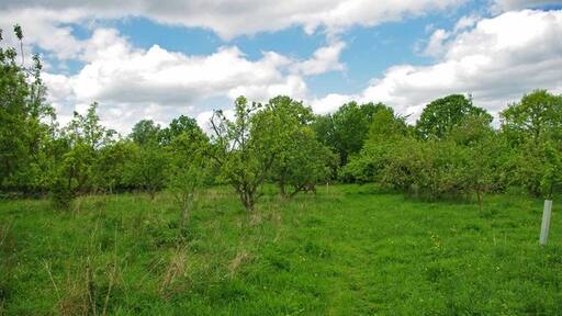 Photo "Lindsell" by Glyn Baker (CC BY-SA) / Cropped from original