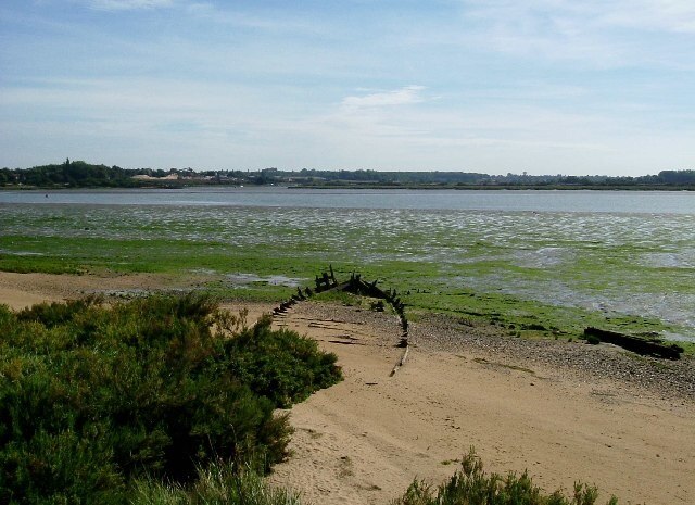 صورة "⁦Fingringhoe⁩" بعدسة ⁦Glyn Baker⁩ (⁦CC BY-SA⁩)/مقصوصة من الصورة الأصلية