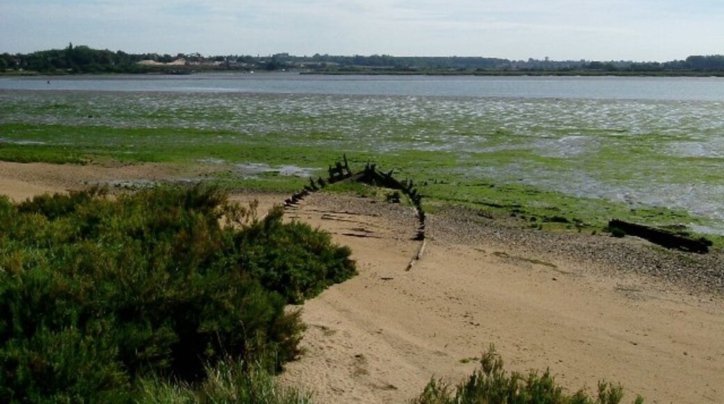 Foto "Fingringhoe" por Glyn Baker (CC BY-SA) / Recortada de la original