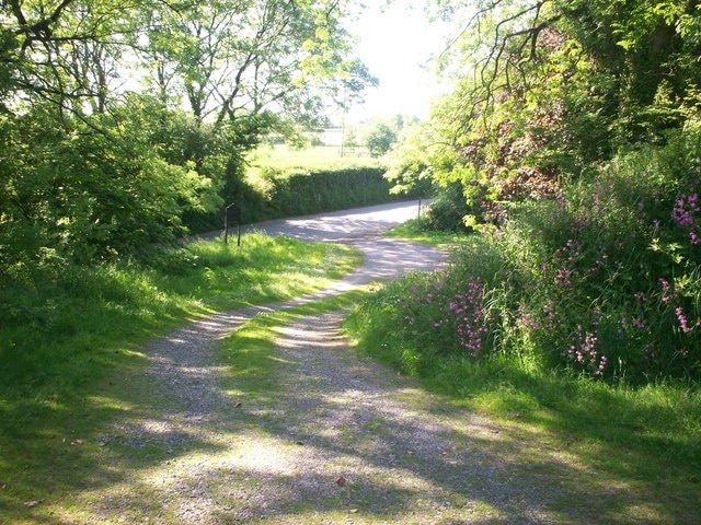 Path Down from St Elidyr's Church, Ludchurch