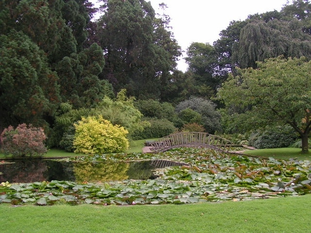 Cefntilla court garden