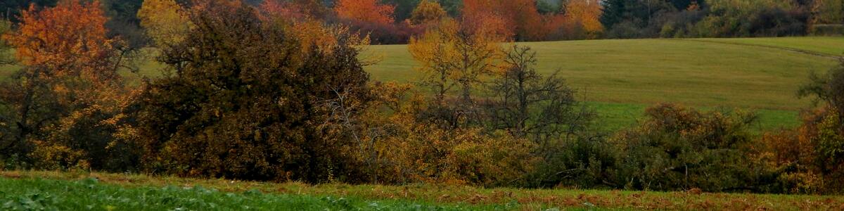 Photo "Heckengäu, Land.Tour SchafSpuren" by qwesy qwesy (Creative Commons Attribution 3.0) / Cropped from original