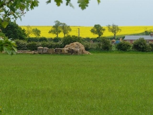 Field near Costock