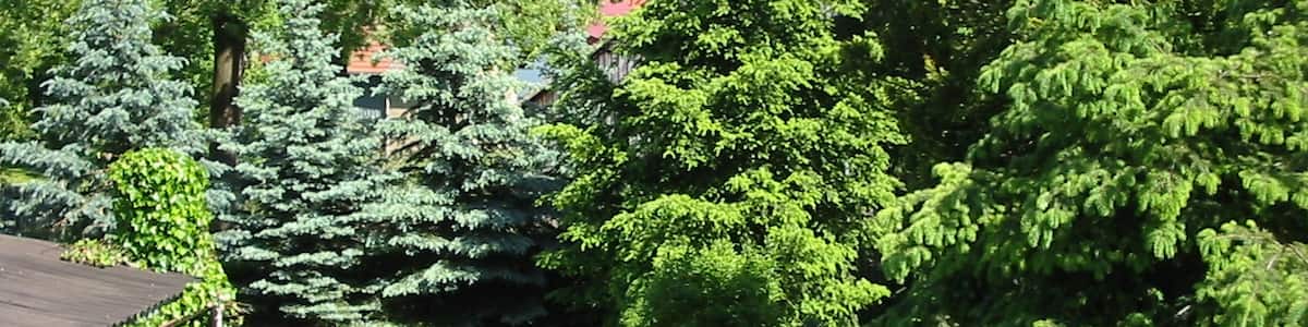 Photo "just a garden" by Figure (Creative Commons Attribution-Share Alike 3.0) / Cropped from original