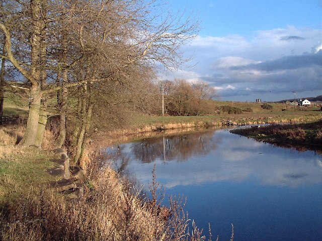 Photo "Greater Willington" by Uncredited (CC BY-SA) / Cropped from original