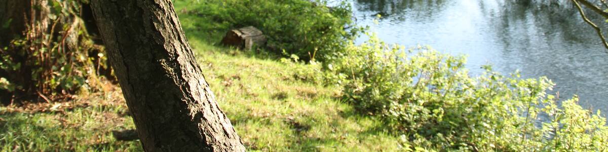 Photo "The River Wensum below Lyng Bridge, Norfolk, England" by Richard Ainley Woods (page does not exist) (Creative Commons Attribution-Share Alike 3.0) / Cropped from original