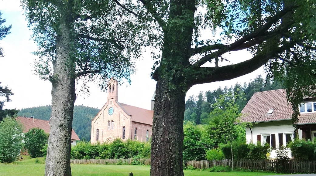 Bildet «Enzklosterle» tatt av qwesy qwesy (CC BY) / originalbilde beskjært