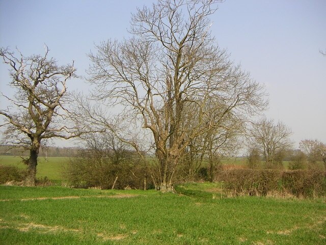 Foto „Leckhampstead“ von Mr Biz (CC BY-SA)/zugeschnittenes Original