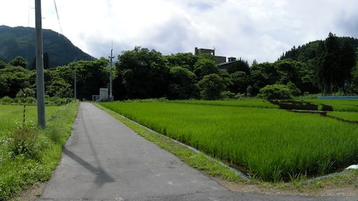 Photo "Onogawa Onsen" by contri (CC BY-SA) / Cropped from original