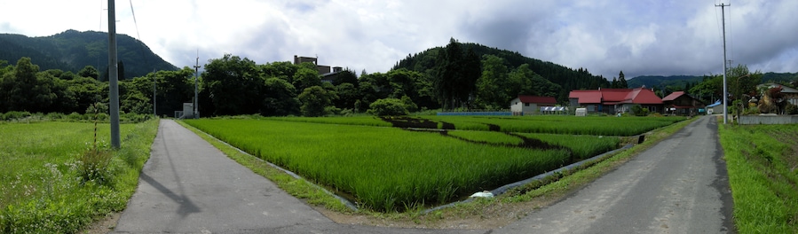 DSCN4805P