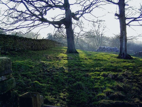 Photo "Caldbergh with East Scrafton" by Anthony Harrison (CC BY-SA) / Cropped from original