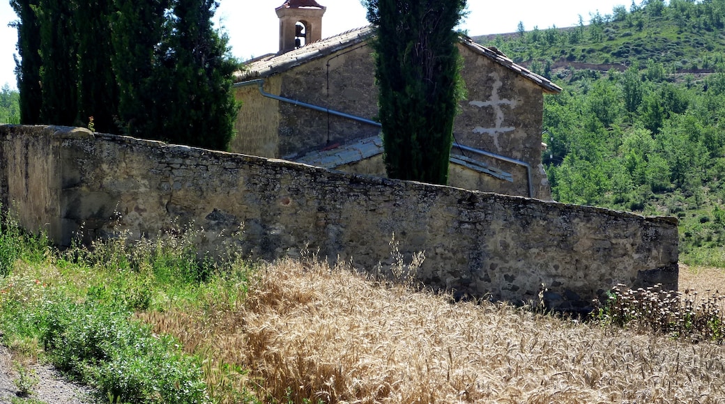 Photo "Pinos" by Isidre blanc (CC BY-SA) / Cropped from original