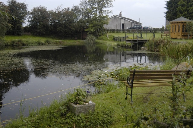 Pond at Up Town near Cockerham