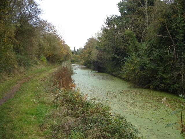 Foto “Salwarpe” tomada por Trevor Rickard (CC BY-SA); recorte de la original