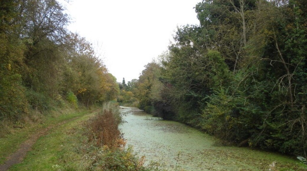 Foto “Salwarpe” tomada por Trevor Rickard (CC BY-SA); recorte de la original