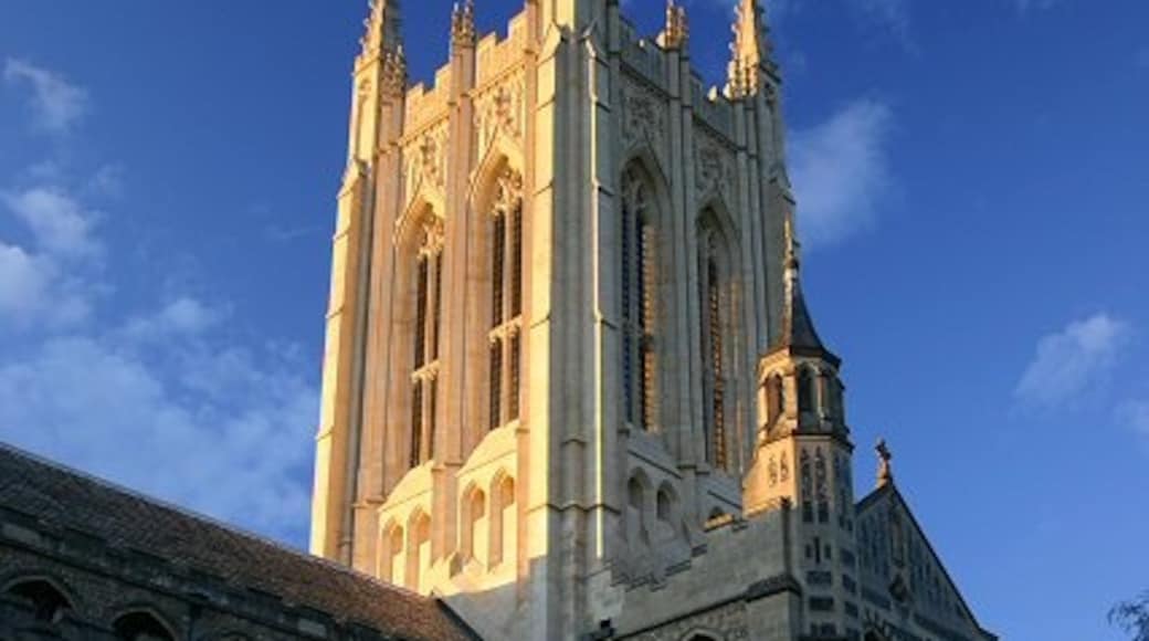照片“圣埃德蒙兹伯里大教堂” 拍摄者：Bob Jones（CC BY-SA）原片经过裁剪