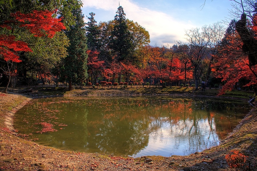永保寺庭園
