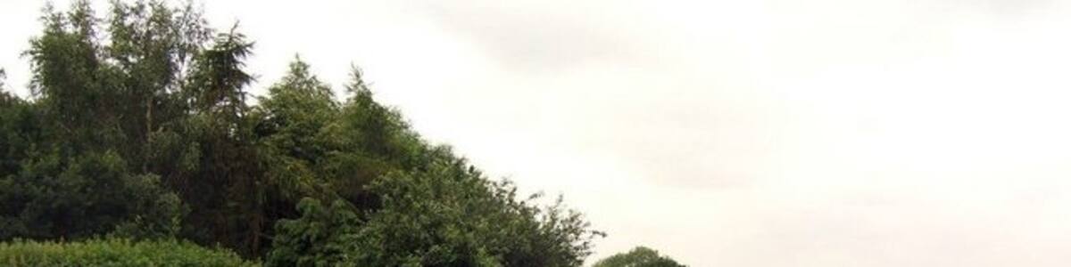 Photo "Hardstanding by the road near Oak Farm" by Jeff Tomlinson (Creative Commons Attribution-Share Alike 2.0) / Cropped from original