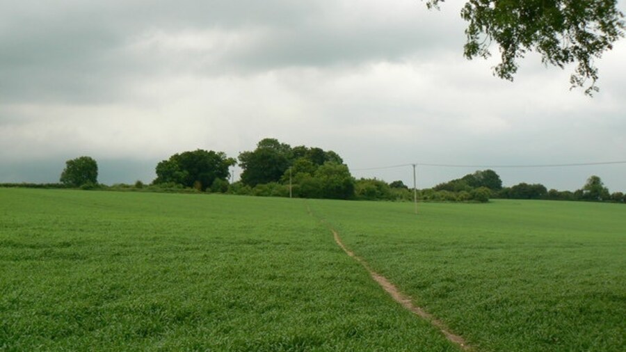 Photo "Across the fields A well used public footpath." by Sebastian Ballard (Creative Commons Attribution-Share Alike 2.0) / Cropped from original