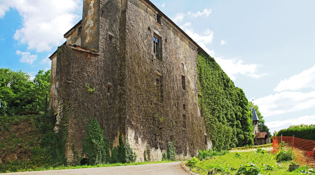 Foto "Saint-Mesmin" por Michelfouch (CC BY-SA) / Recortada de la original