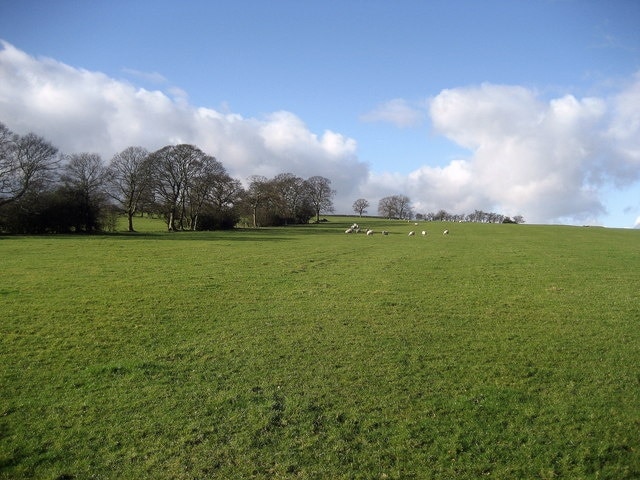 Fields north west of Silsden Pleasant pastoral scene to the north west while following the footpath from Low Bracken Hill Farm to High Cross Moor Farm.