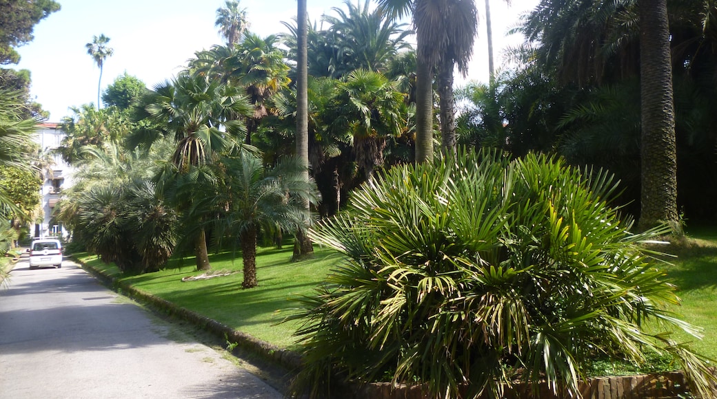 Foto "Jardín Botánico de Nápoles" de Daniel Ventura (CC BY-SA) / Recortada de la original